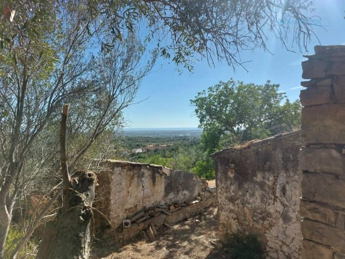 Terreno Misto para Venda em Santa Barbara de Nexe Foto 6