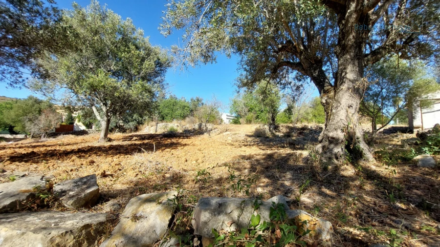 Terreno Misto para Venda em Santa Barbara de Nexe Foto 18