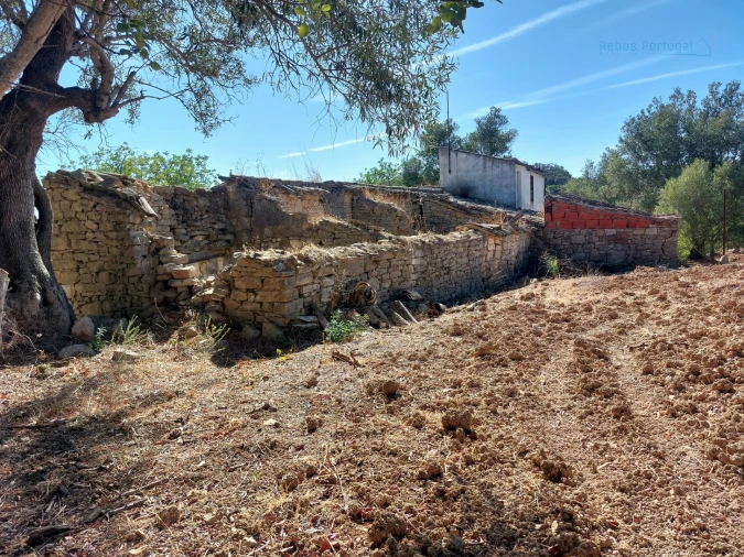 Terreno Misto para Venda em Santa Barbara de Nexe Foto 8