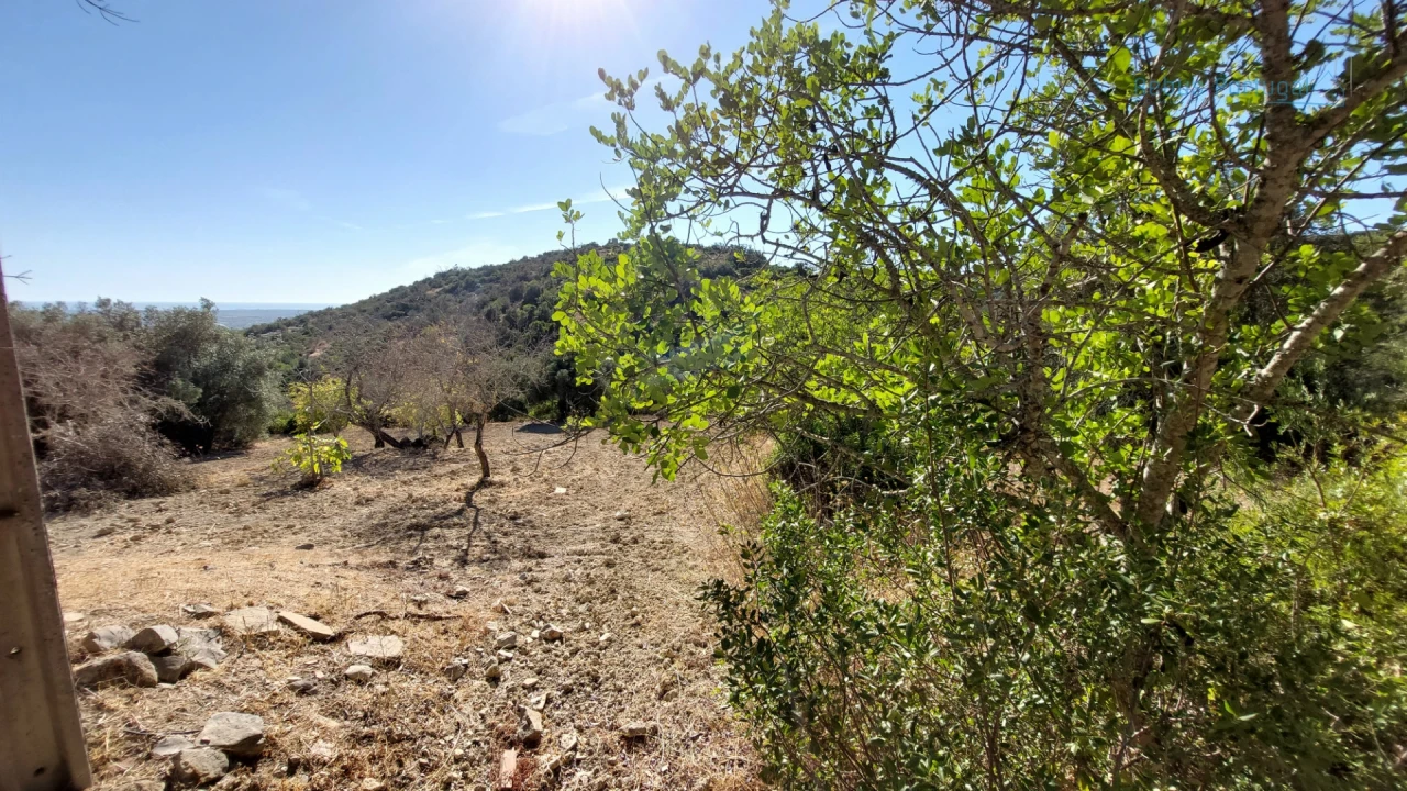 Terreno Misto para Venda em Santa Barbara de Nexe Foto 19