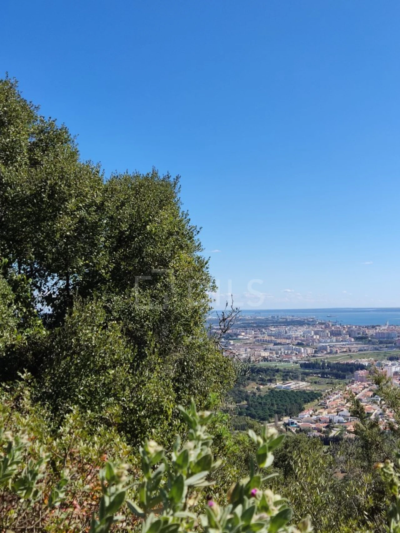 Terreno para Venda em Palmela Foto 6