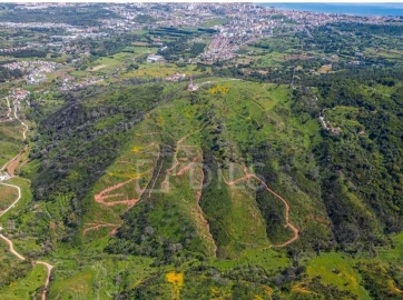 Terreno para Venda em Palmela