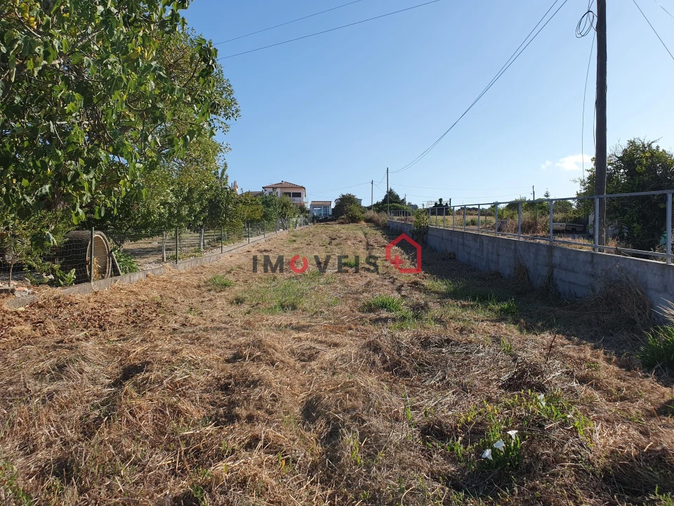 Terreno para Venda em Alfarelos Foto 2