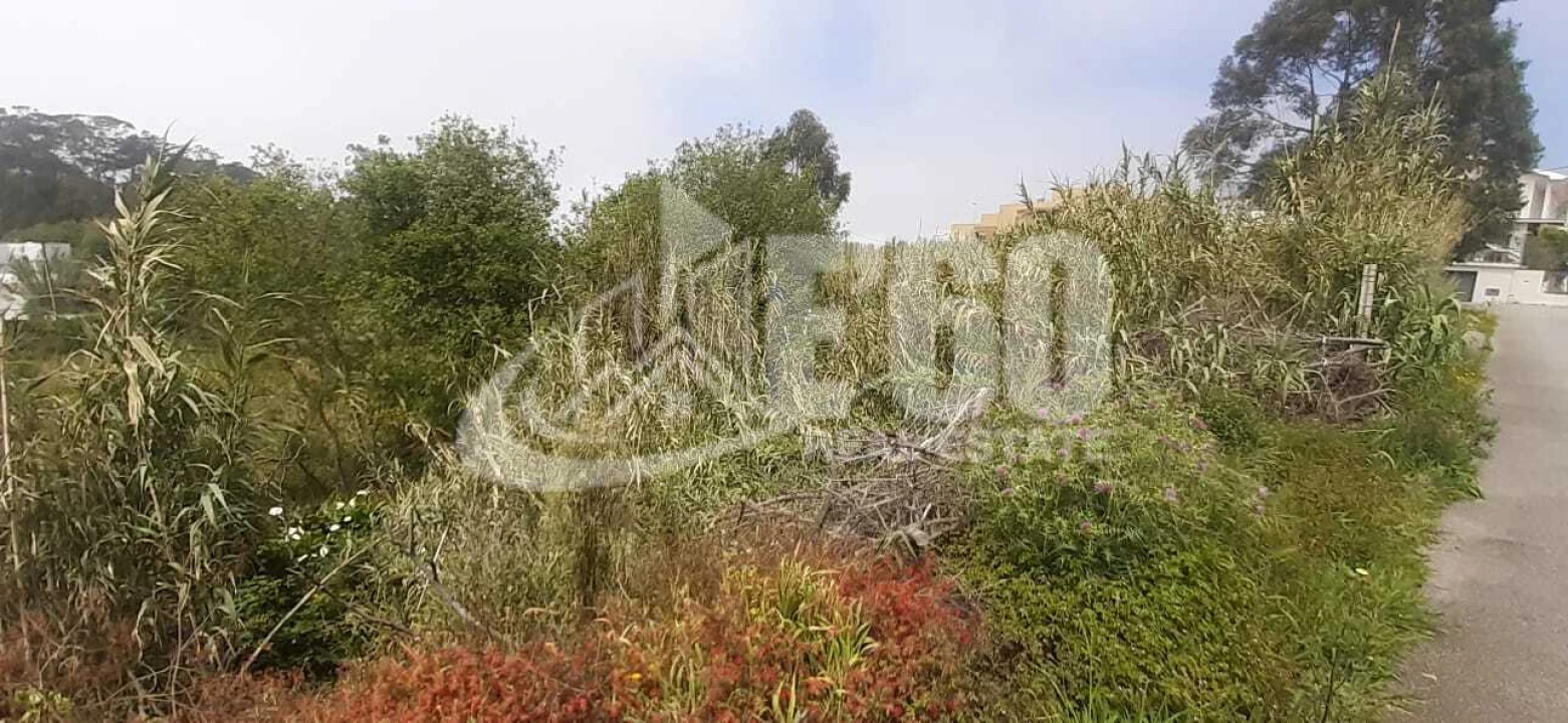 Terreno para Venda em Gulpilhares e Valadares Foto 4