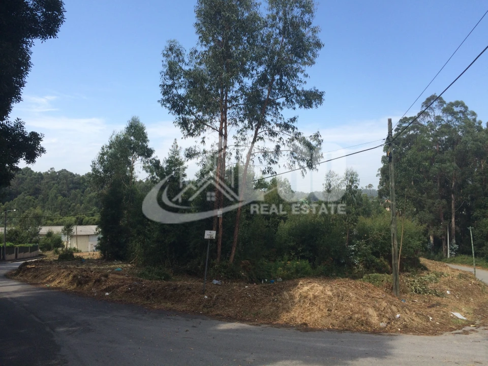 Terreno para Venda em Sanguedo Foto 2