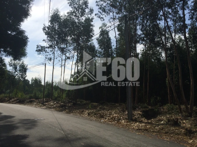 Terreno para Venda em Sanguedo Foto 3