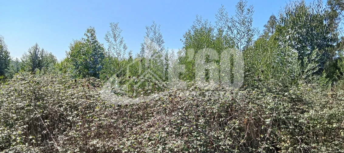 Terreno para Venda em São João de Ver Foto 1
