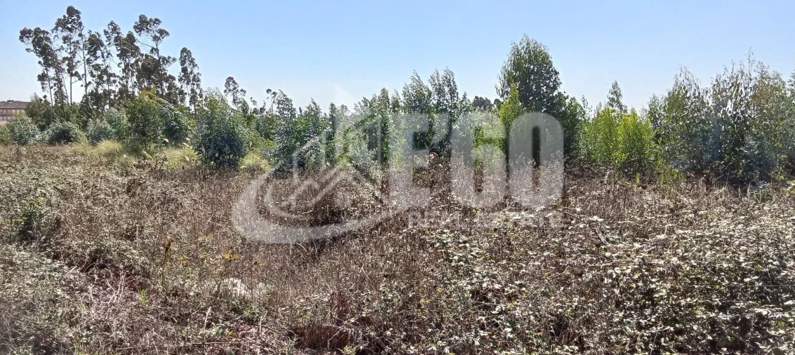 Terreno para Venda em São João de Ver Foto 3