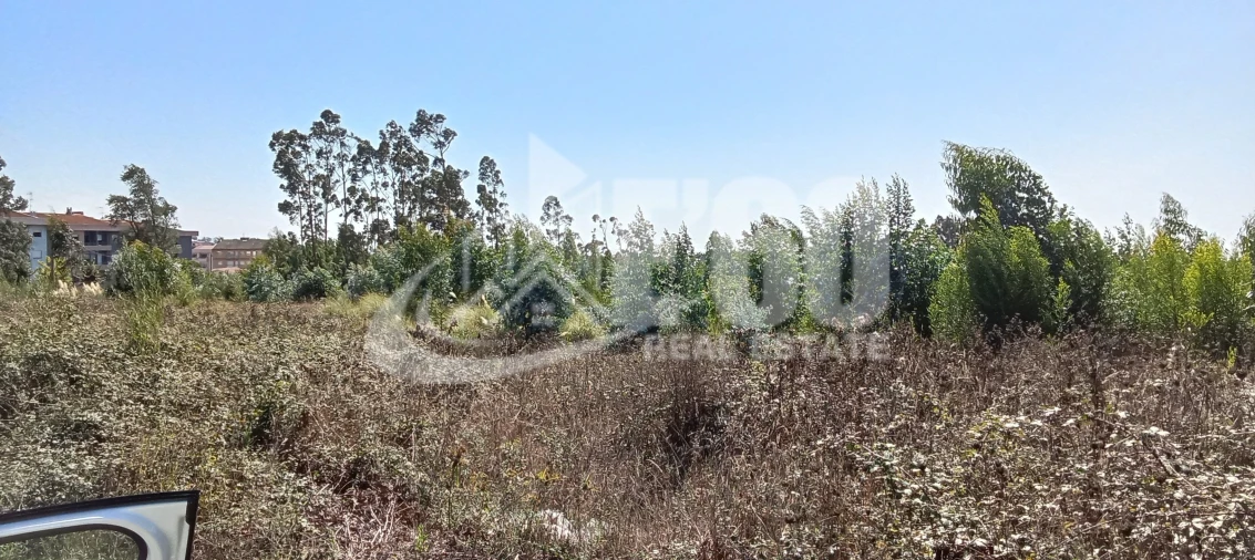 Terreno para Venda em São João de Ver Foto 2