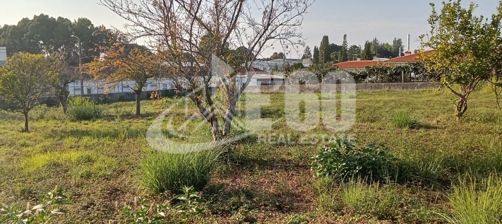 Terreno para Venda em Paços de Brandão Foto 7
