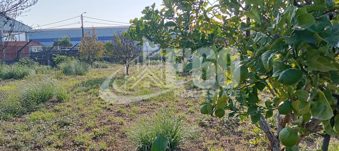 Terreno para Venda em Paços de Brandão Foto 2