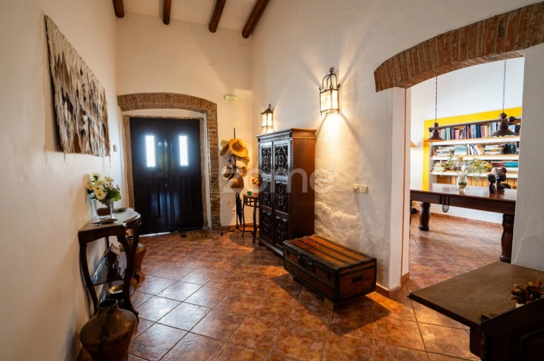 Moradia T7 para Venda em Vidigueira Foto 3