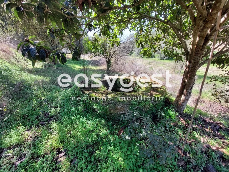 Quinta T2 para Venda em São Martinho das Amoreiras Foto 2