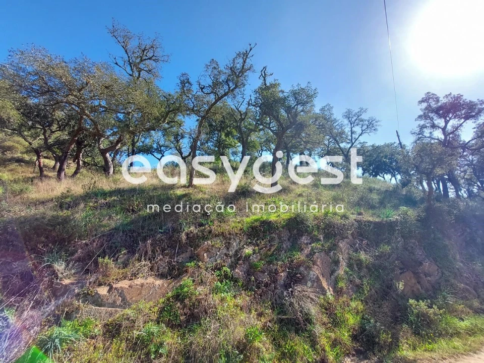 Quinta T2 para Venda em São Martinho das Amoreiras Foto 3