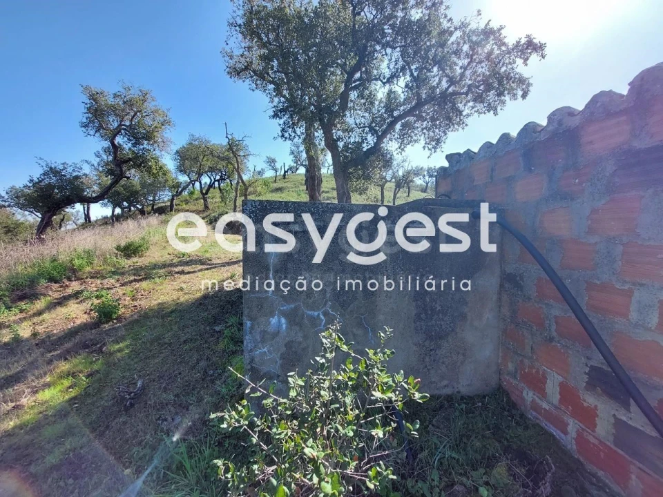 Quinta T2 para Venda em São Martinho das Amoreiras Foto 5