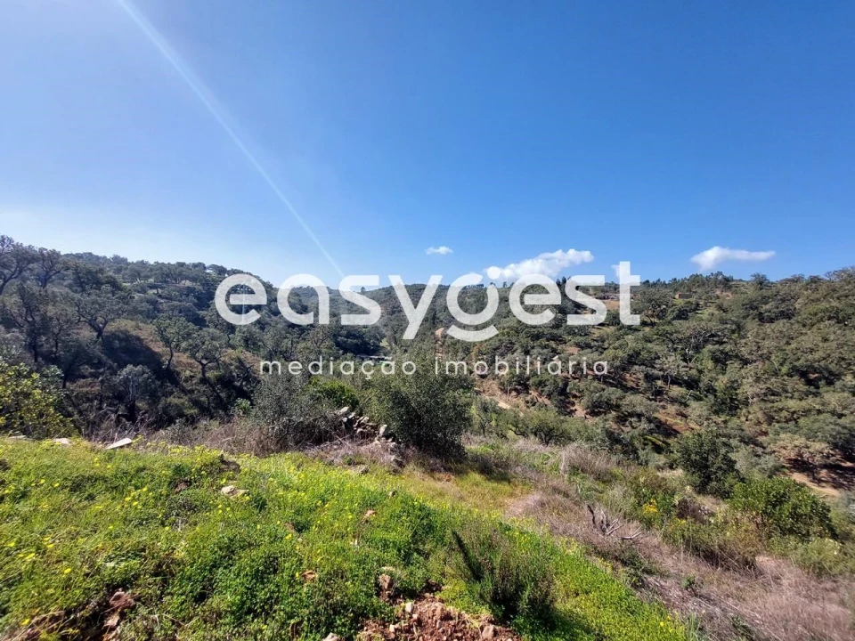 Quinta T2 para Venda em São Martinho das Amoreiras Foto 6