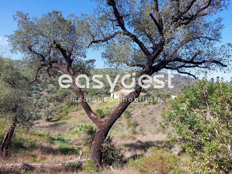 Quinta T2 para Venda em São Martinho das Amoreiras Foto 8