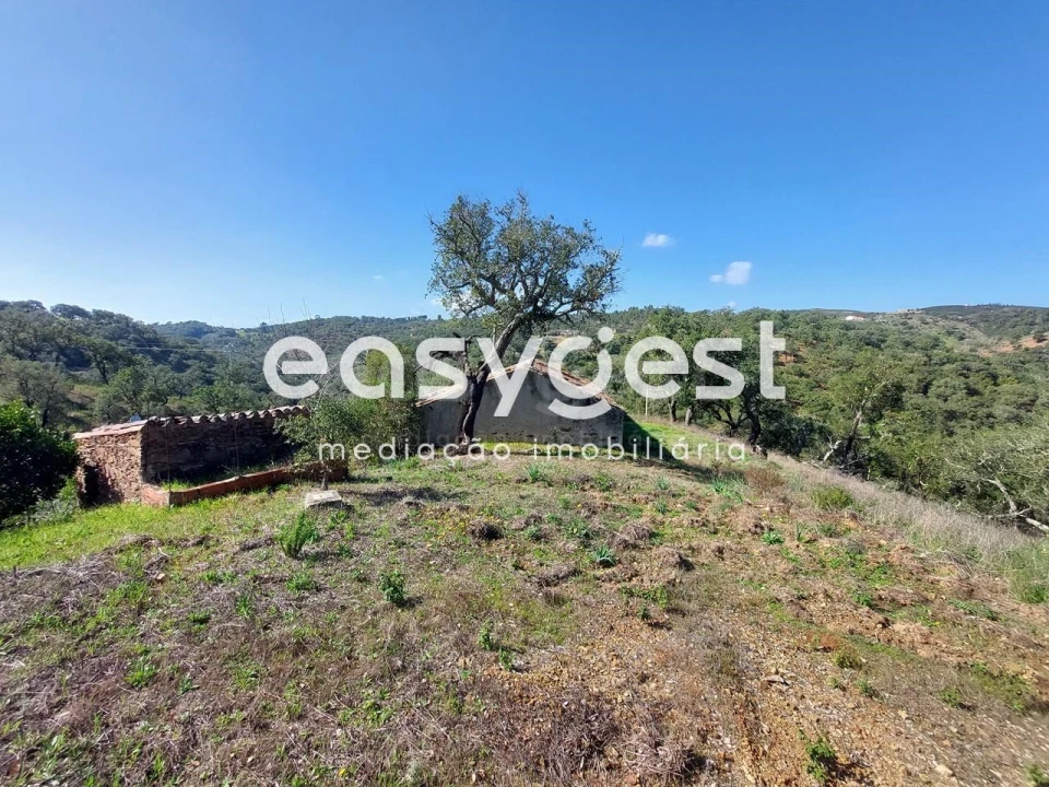 Quinta T2 para Venda em São Martinho das Amoreiras Foto 9