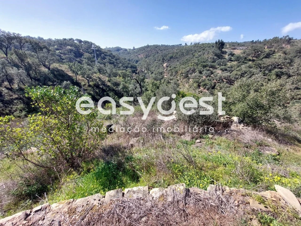 Quinta T2 para Venda em São Martinho das Amoreiras Foto 13