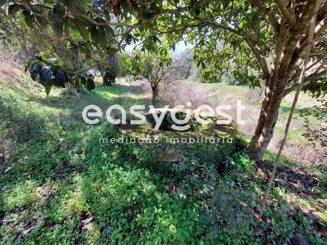 Quinta T2 para Venda em São Martinho das Amoreiras Foto 2