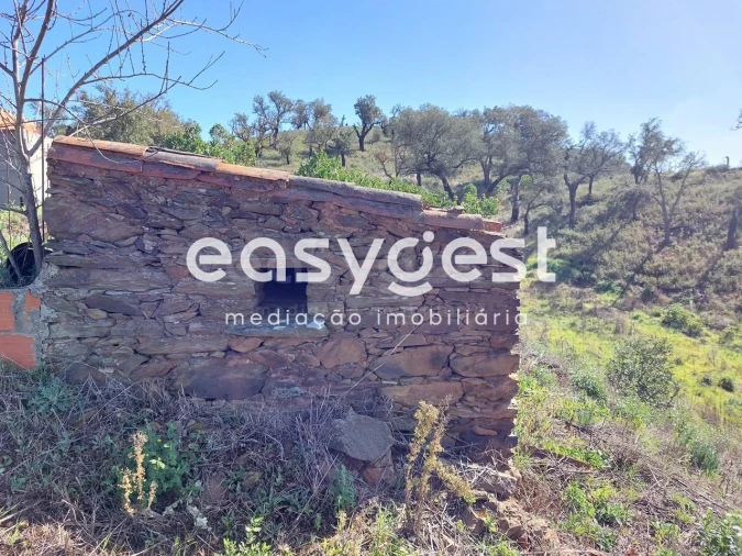 Quinta T2 para Venda em São Martinho das Amoreiras Foto 4