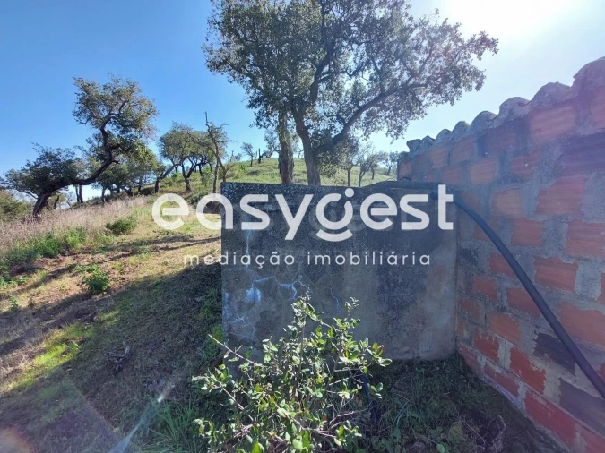 Quinta T2 para Venda em São Martinho das Amoreiras Foto 5