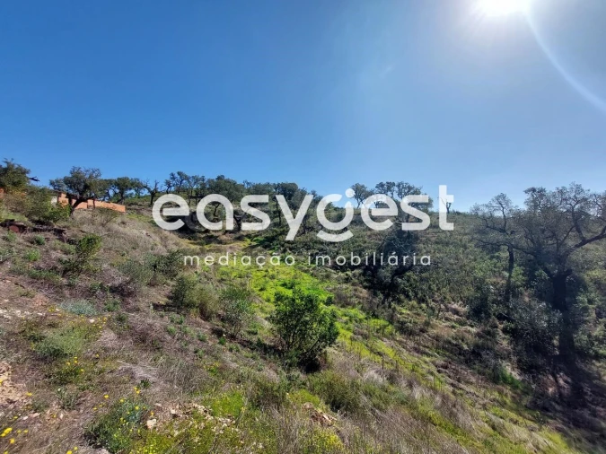 Quinta T2 para Venda em São Martinho das Amoreiras Foto 7