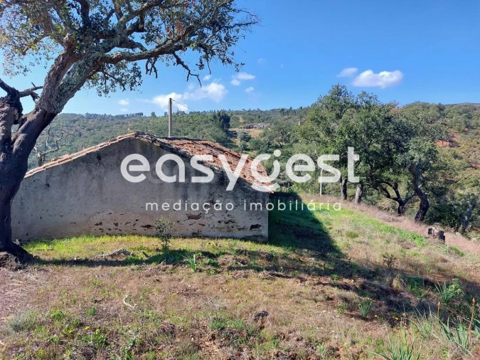 Quinta T2 para Venda em São Martinho das Amoreiras Foto 10