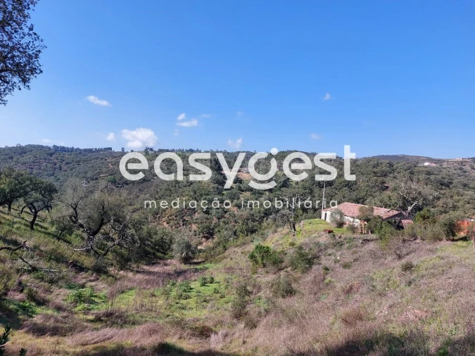 Quinta T2 para Venda em São Martinho das Amoreiras Foto 12