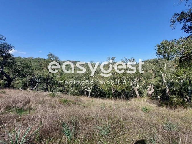 Quinta T2 para Venda em São Martinho das Amoreiras Foto 15