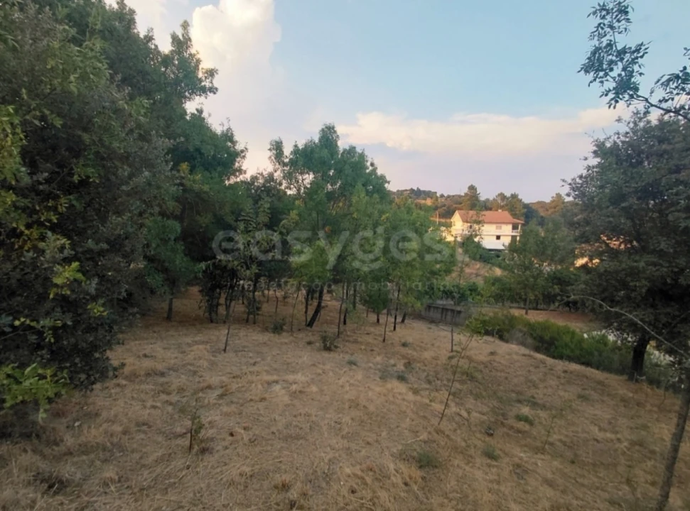 Moradia T4 para Venda em Baçal Foto 49