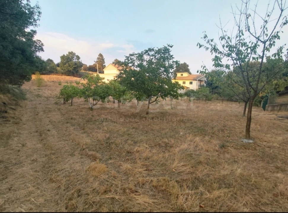 Moradia T4 para Venda em Baçal Foto 50