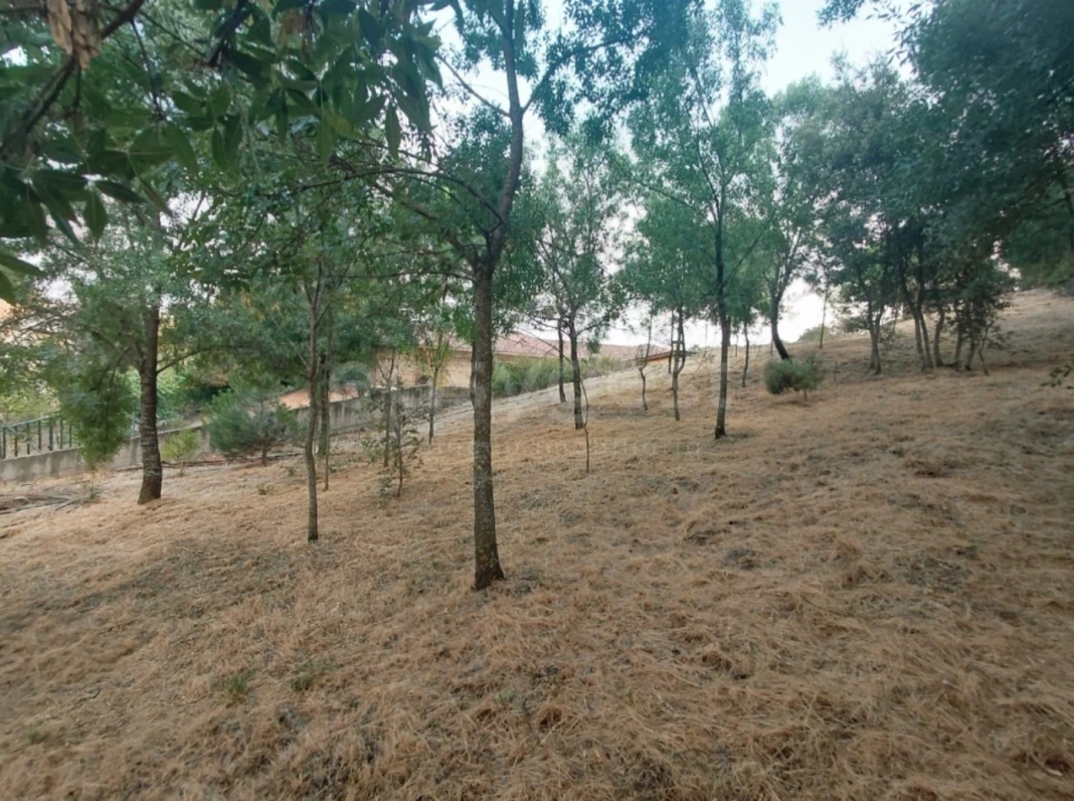 Moradia T4 para Venda em Baçal Foto 51