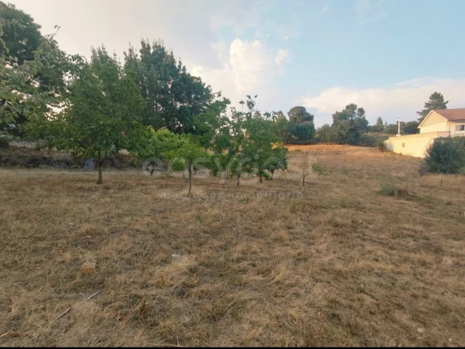 Moradia T4 para Venda em Baçal Foto 52