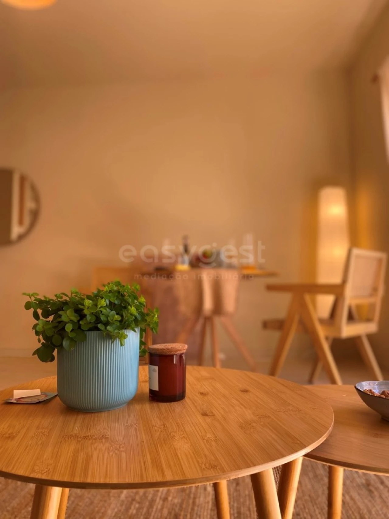 Prédio para Venda em Águeda e Borralha Foto 6