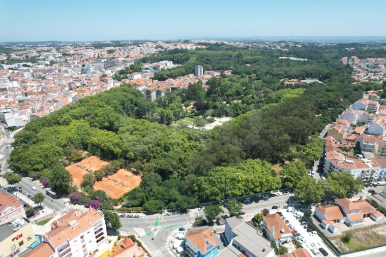 Negócio para Venda em Nossa Senhora do Pópulo, Coto e São Gregório Foto 10