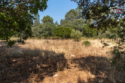 Terreno Agricola ou Rústico para Venda em Fatima