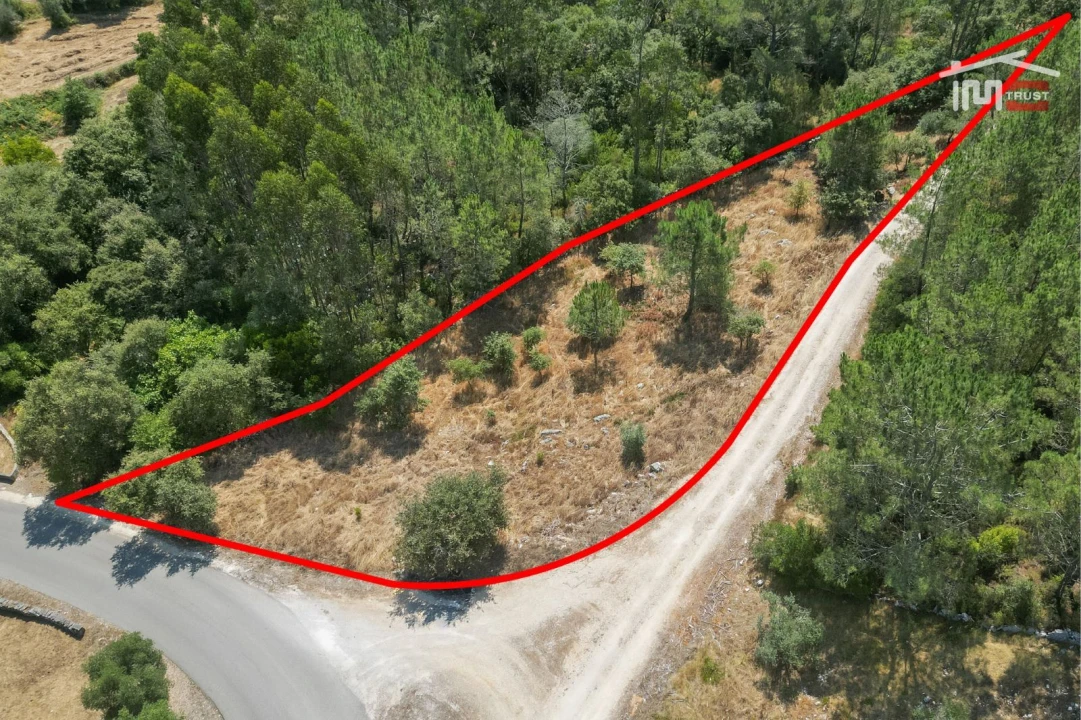 Terreno Agricola ou Rústico para Venda em São Mamede Foto 2