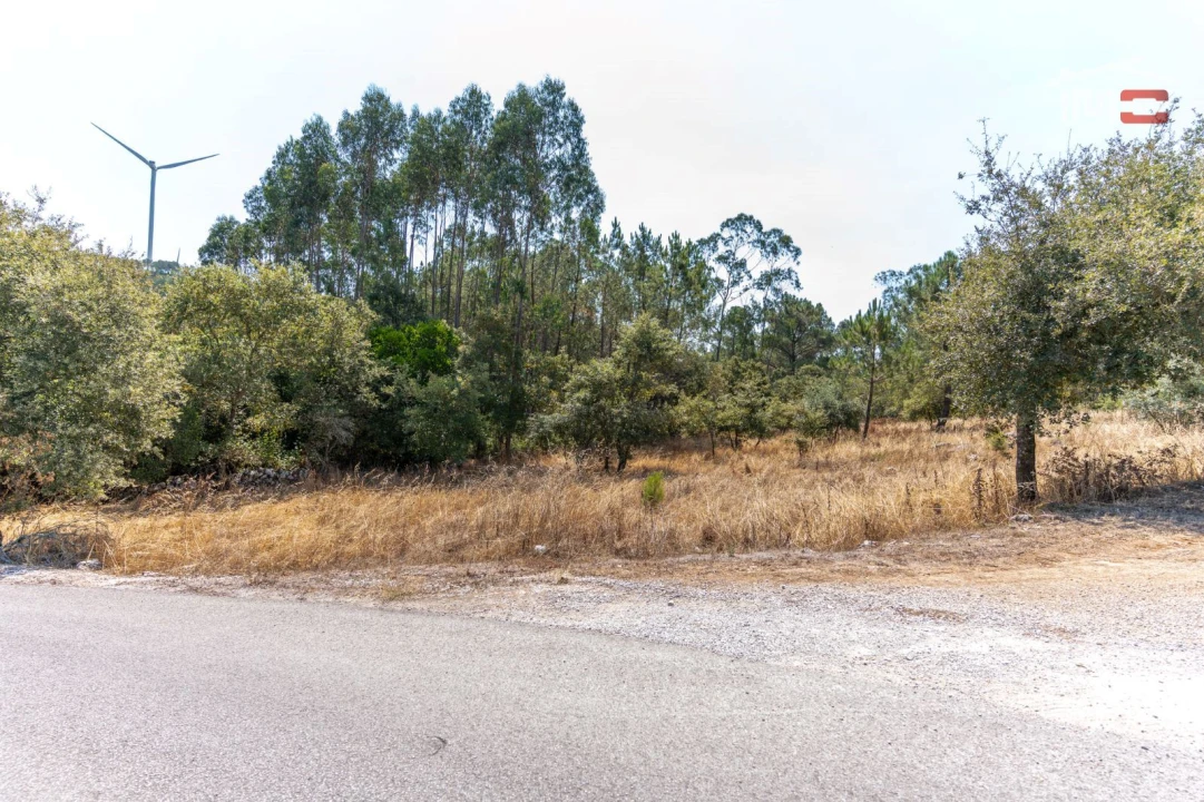 Terreno Agricola ou Rústico para Venda em São Mamede Foto 3