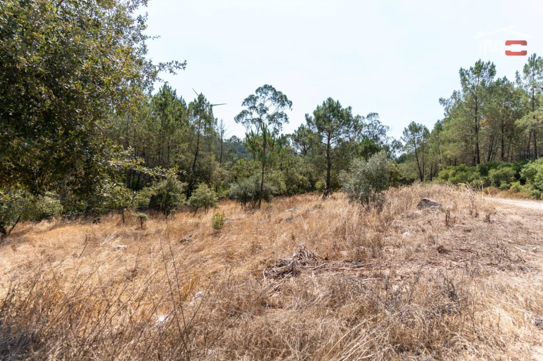 Terreno Agricola ou Rústico para Venda em São Mamede Foto 7