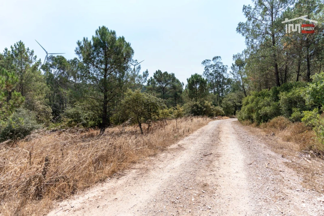 Terreno Agricola ou Rústico para Venda em São Mamede Foto 8