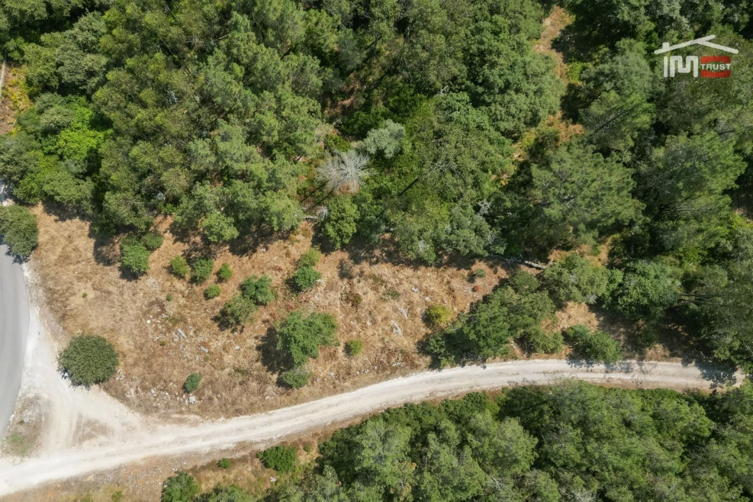 Terreno Agricola ou Rústico para Venda em São Mamede Foto 11