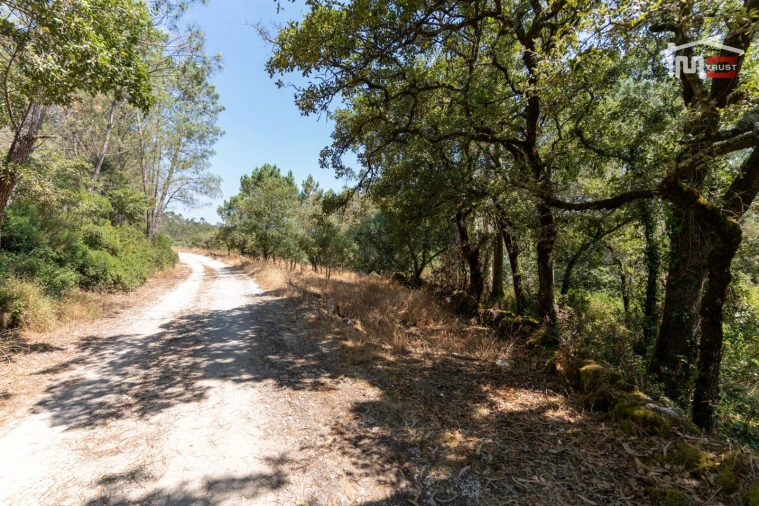 Terreno Agricola ou Rústico para Venda em São Mamede Foto 9