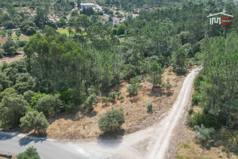 Terreno Agricola ou Rústico para Venda em São Mamede Foto 10