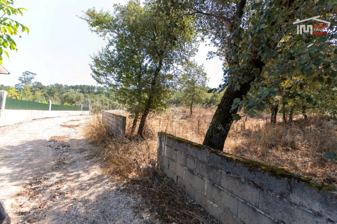Terreno Agricola ou Rústico para Venda em São Mamede Foto 4