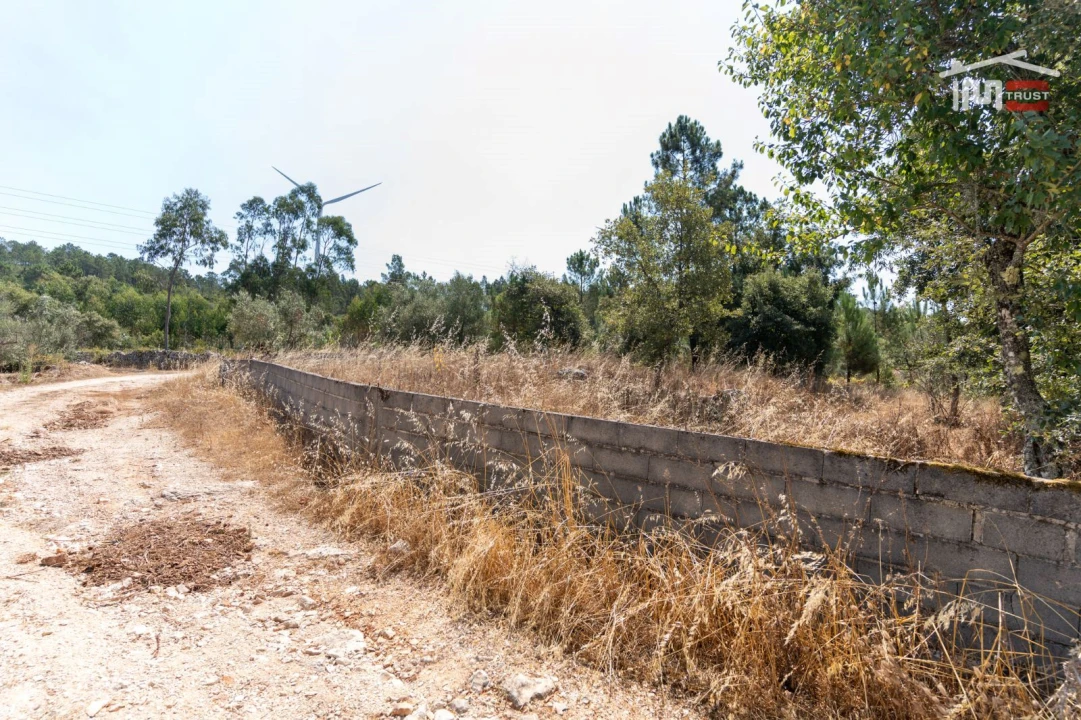 Terreno Agricola ou Rústico para Venda em São Mamede Foto 5