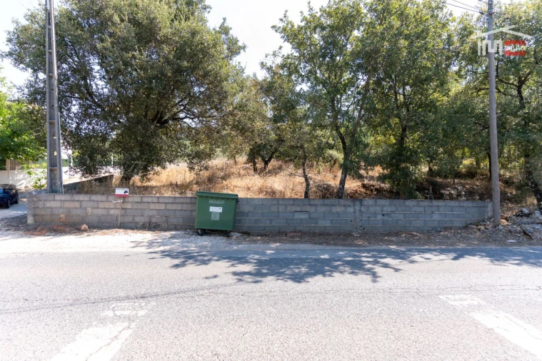 Terreno Agricola ou Rústico para Venda em São Mamede Foto 3