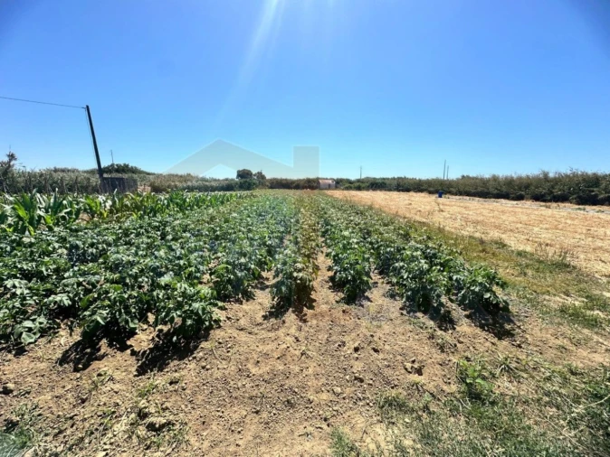 Terreno para Venda em Atouguia da Baleia Foto 19