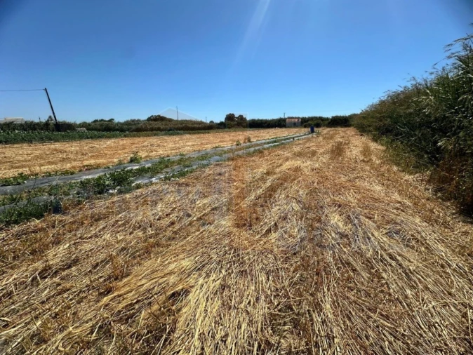 Terreno para Venda em Atouguia da Baleia Foto 18