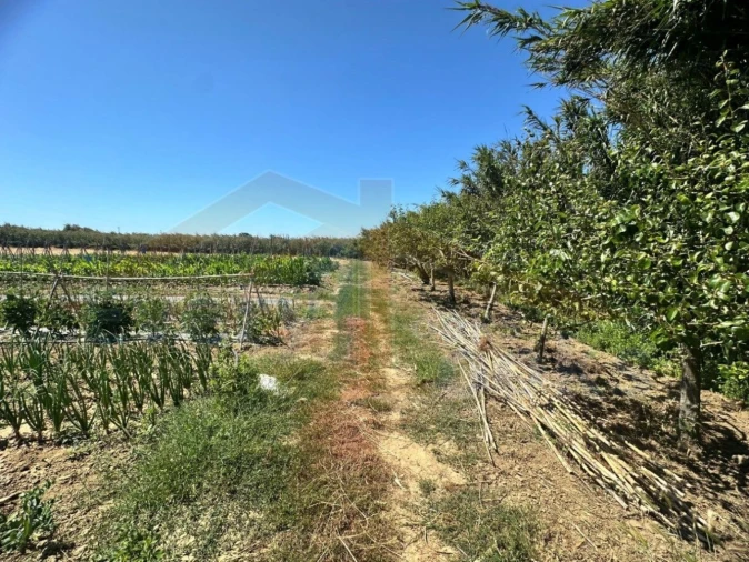 Terreno para Venda em Atouguia da Baleia Foto 21